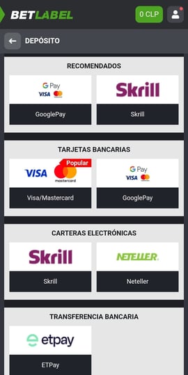 betlabel registro 04 cs cl