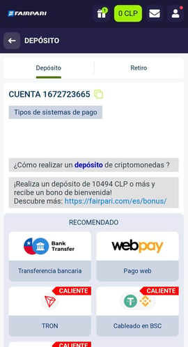 fairpari registro 06 cs chile
